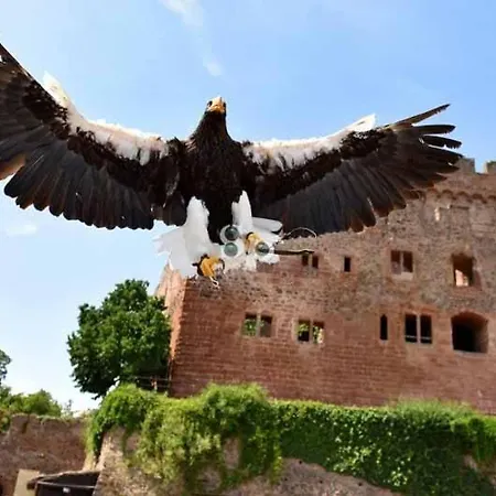 Du Sabotier Apartman *