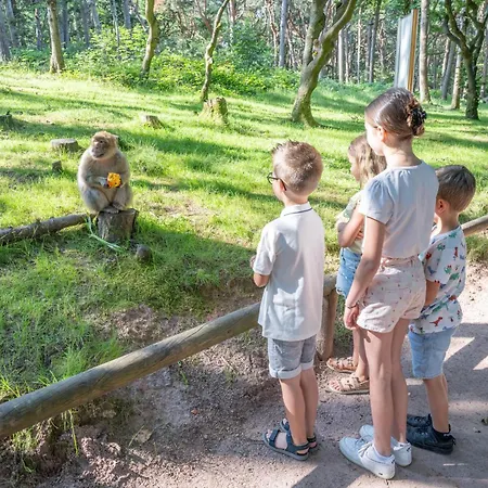 Du Sabotier Apartman Muttersholtz